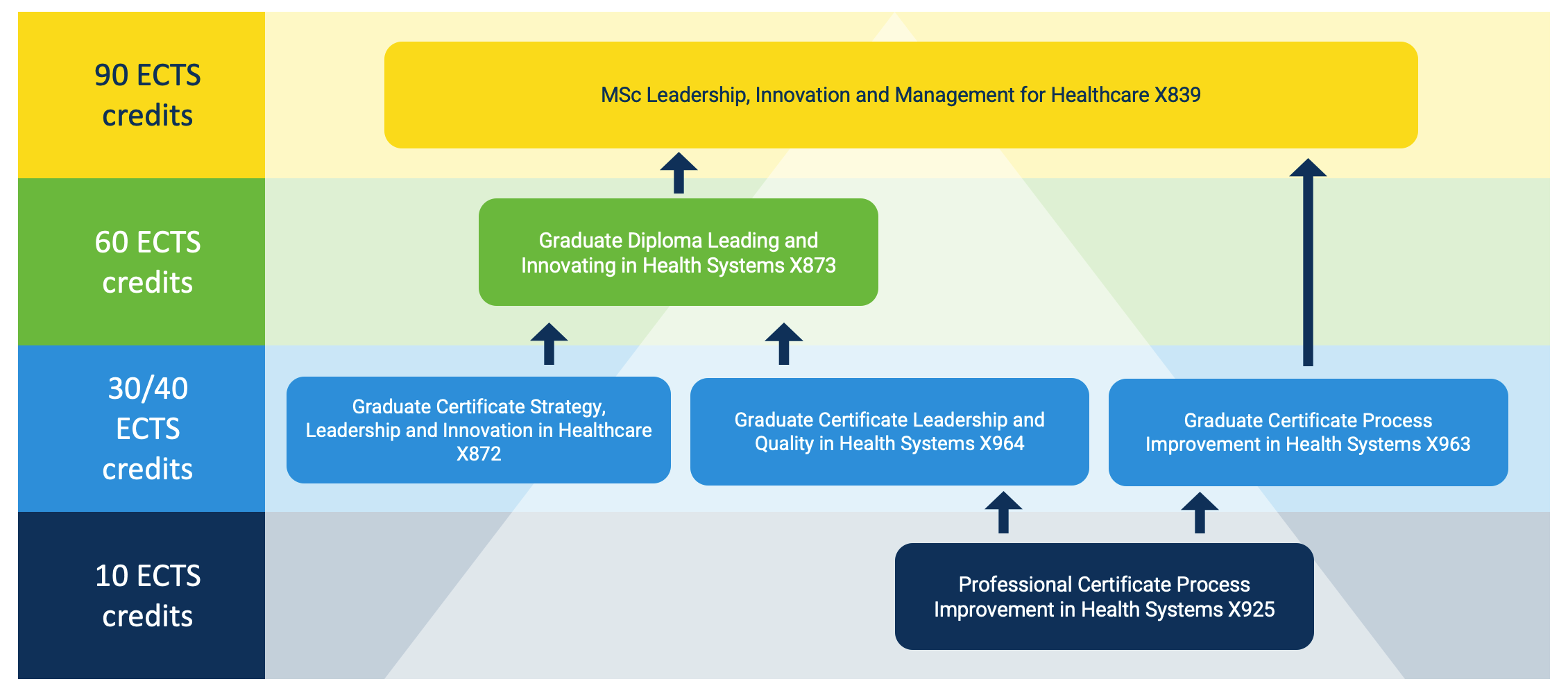 LIM Pathway Progression